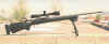 snipper.jpg (19143 bytes)